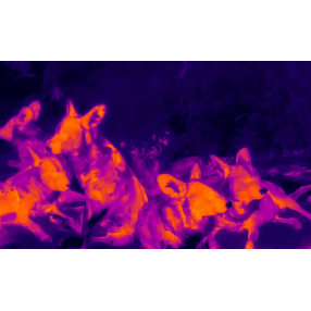 UTx210W - IR monoculare 256x194pixel 18 x13  FOV