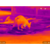 UTx625M - IR monoculare 640x512pixel 17 x14  FOV