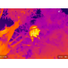 UTx625M - IR monoculare 640x512pixel 17 x14  FOV