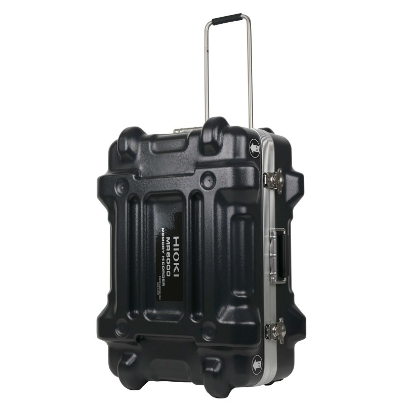 C1010 - CARRYING CASE